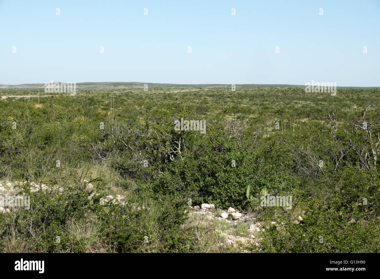 The desert floor of the Edwards Plateau in the Lake Amistad Recreation Area near Del Rio, Texas. Stock Photo