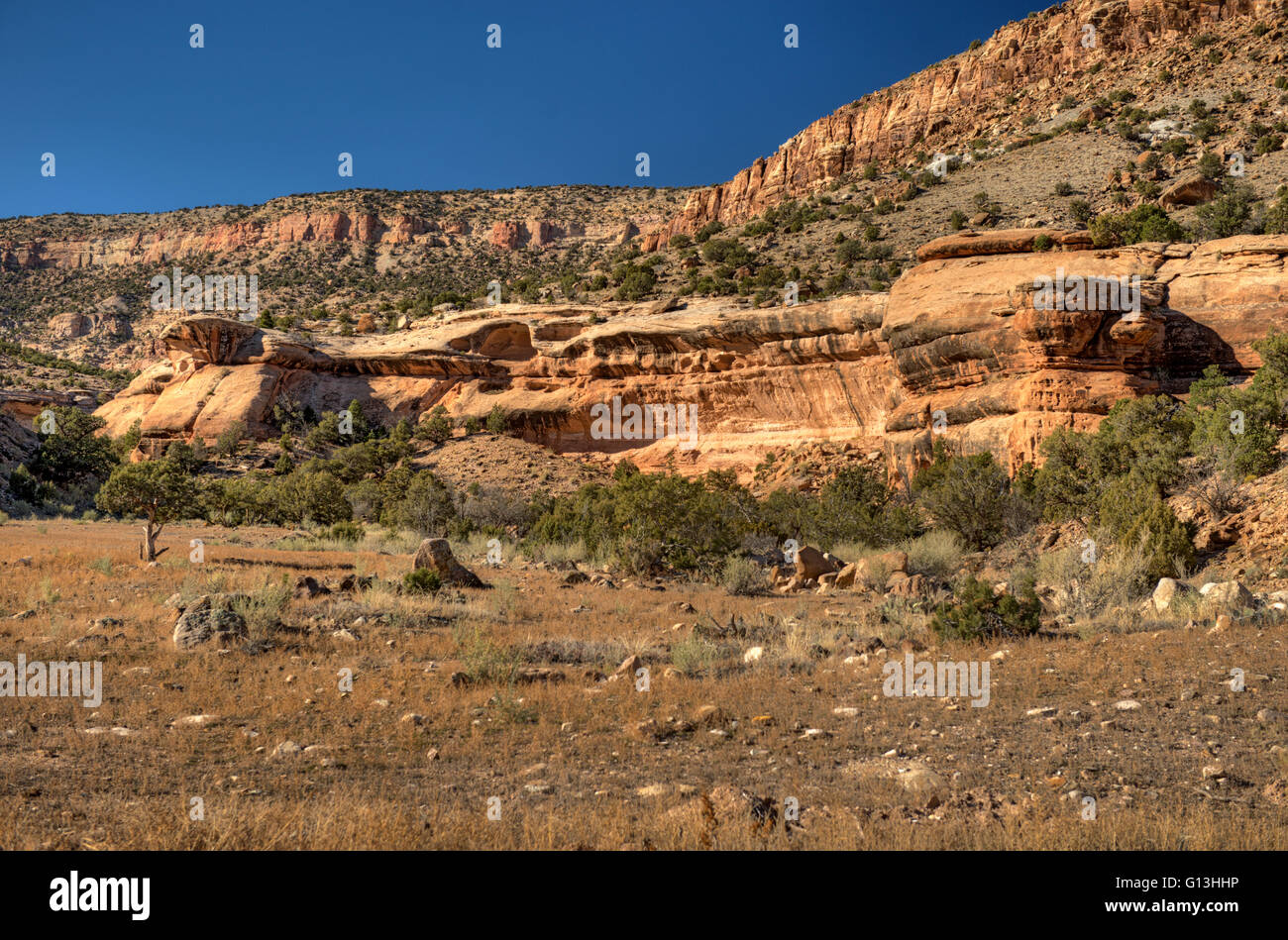 A nicely exposed bench of Entrada sandstone in Colorado's Escalante Canyon, in Delta County. Stock Photo