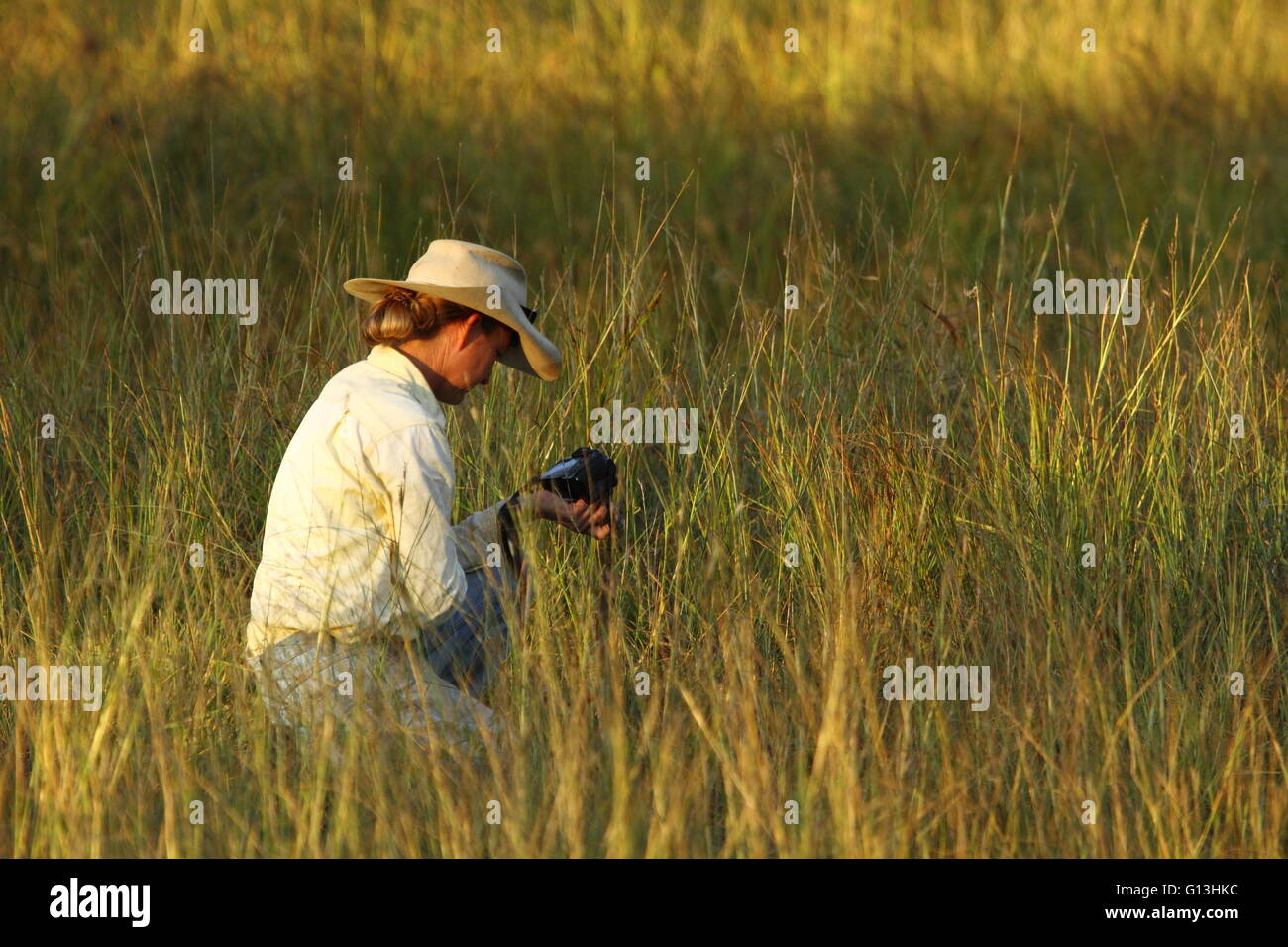 A lady in her thirties looking at the back of her camera as she kneels in a field of grass while wearing a cowboy hat. Stock Photo