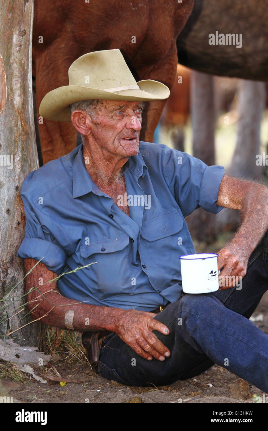 An older cattleman cowboy in his 80's taking a rest against a tree with horses in background during a cattle drive in Queensland Stock Photo