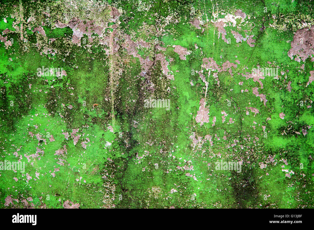 Old stone wall Stock Photo - Alamy