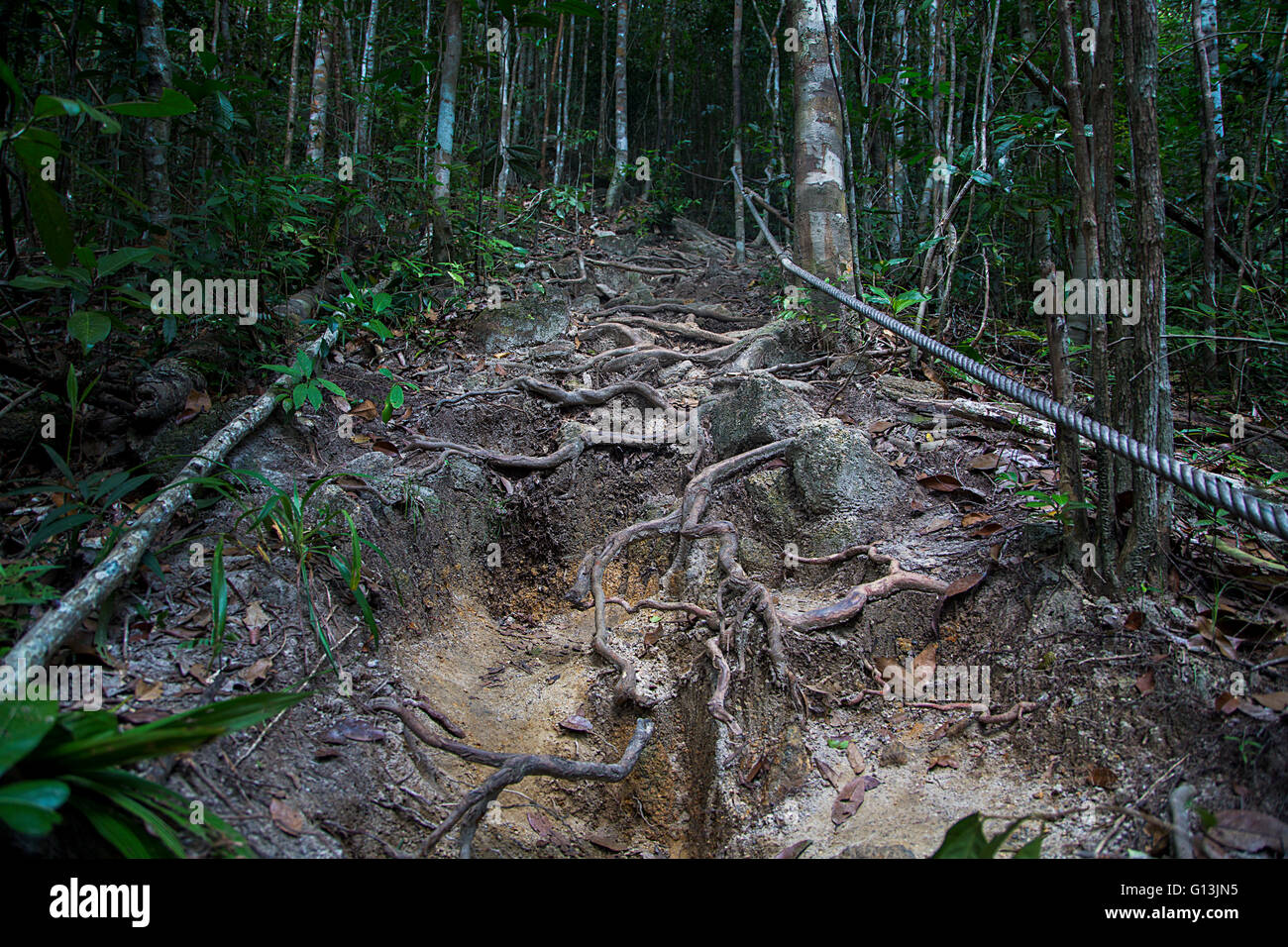 Dry riverbed in the forest in Thailand Stock Photo