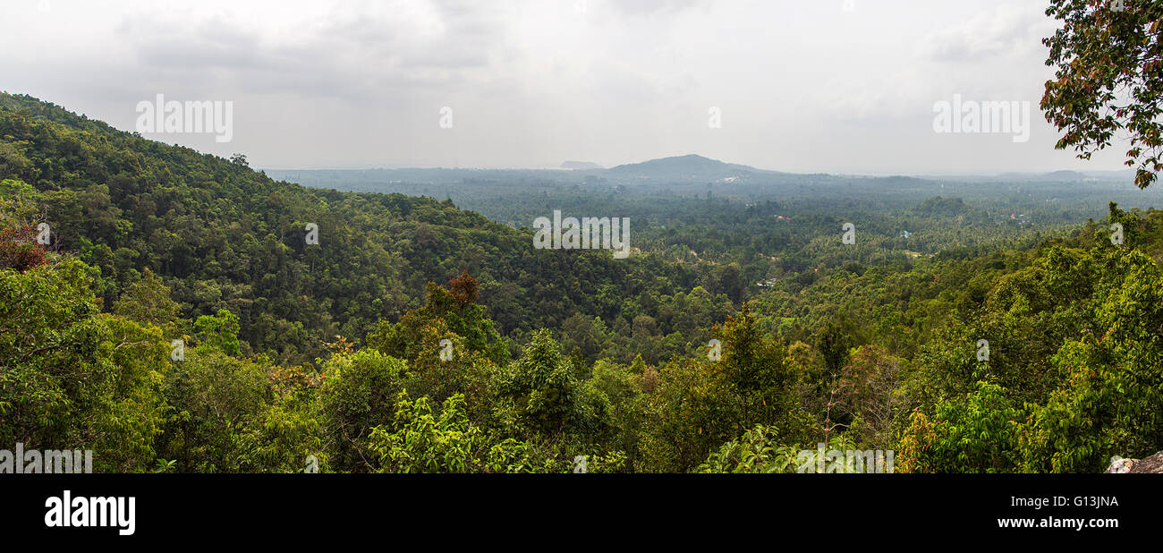 Landscape view of the forest in Ko Pha Ngan in Thailand Stock Photo
