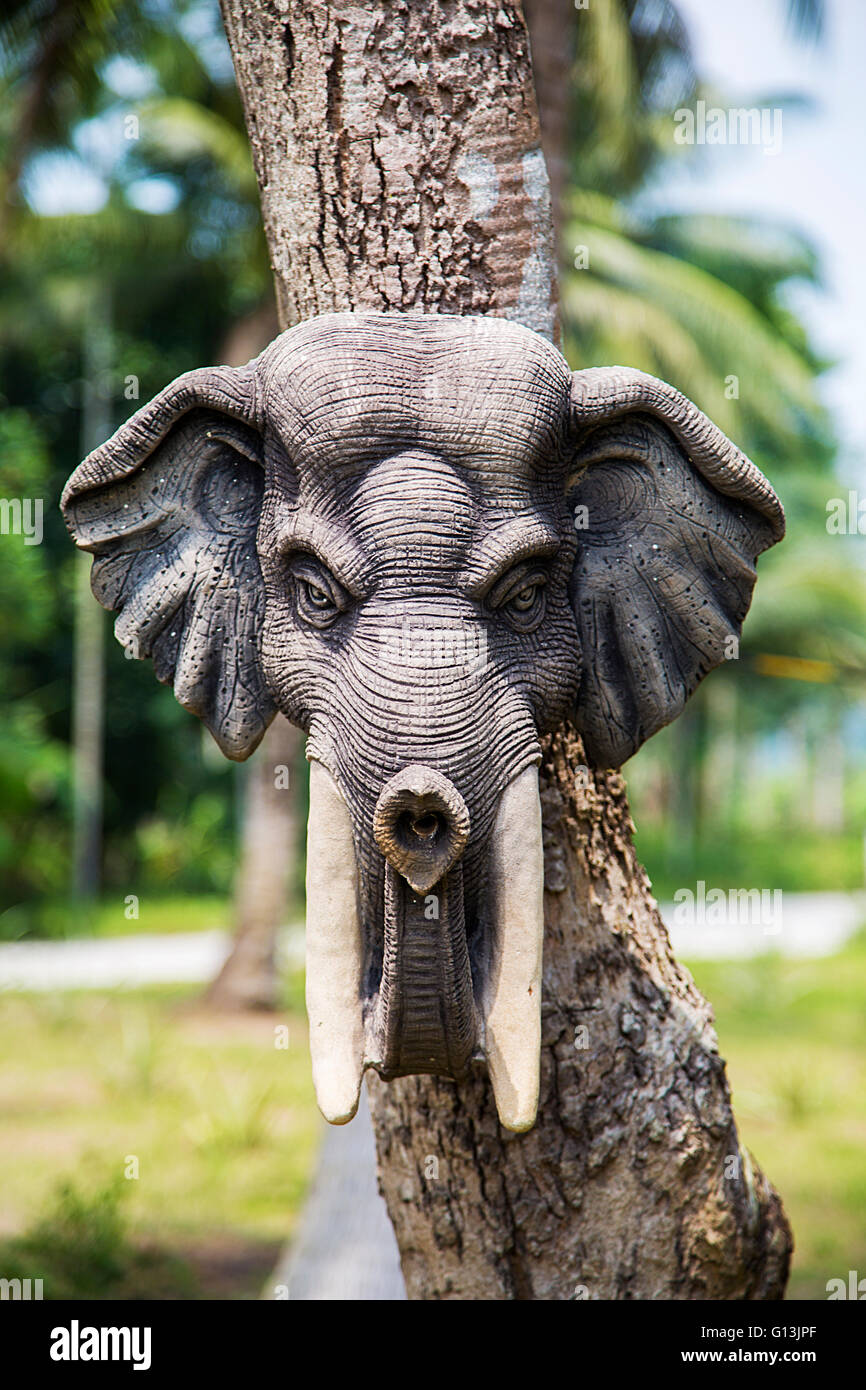 Wooden elephant head on a tree trunk in Ko Pha Ngan in Thailand Stock Photo