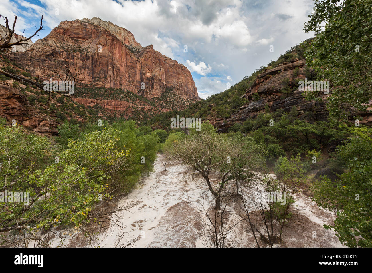 Virgin River after a sudden flash flood Stock Photo - Alamy
