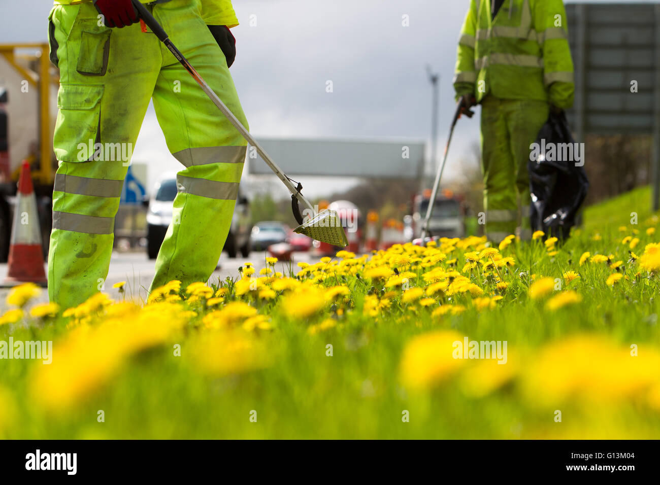 Litter picking by roadside Stock Photo Alamy