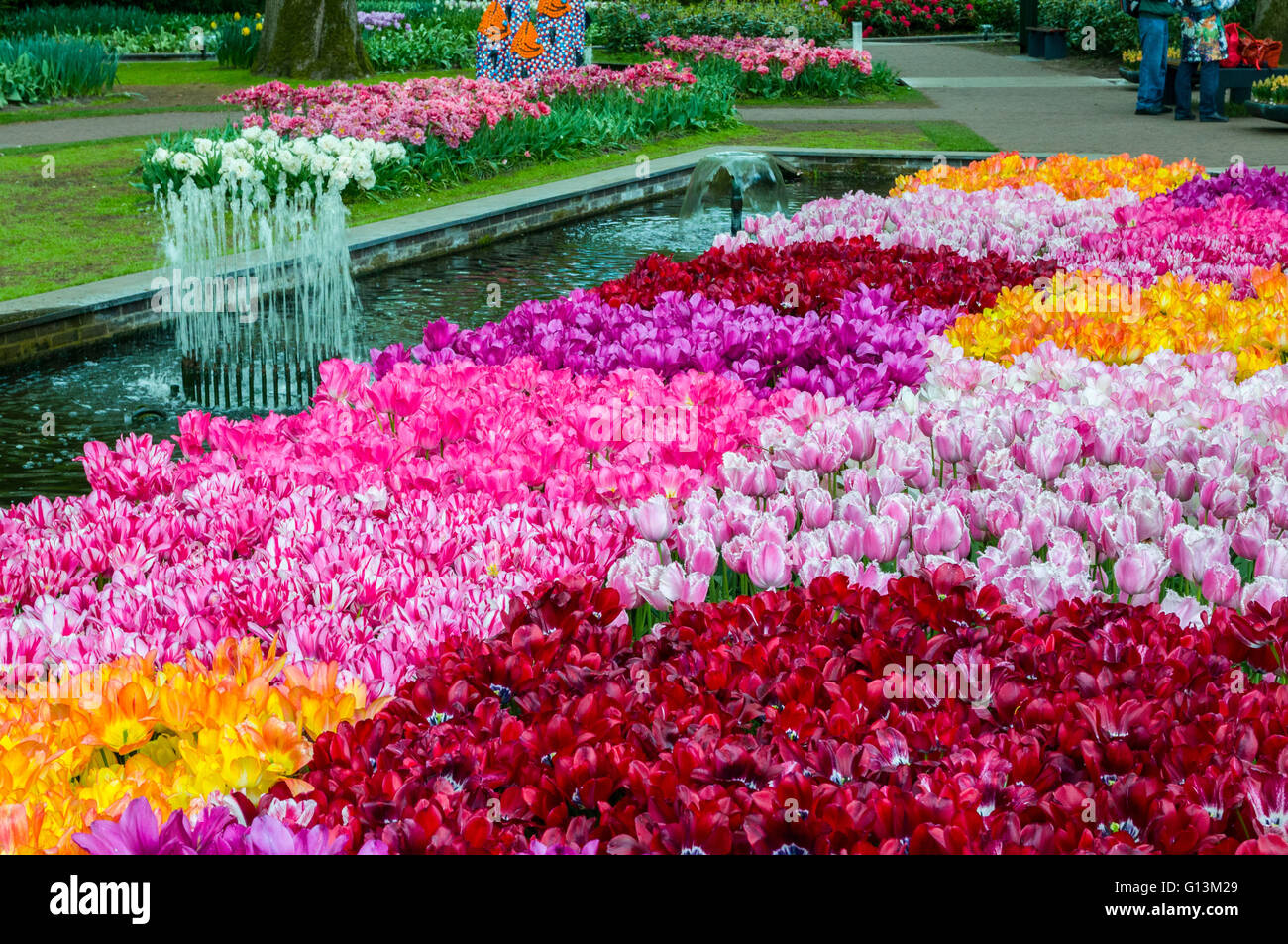 Colorful tulips in Keukenhof Park, Lisse in Holland Stock Photo - Alamy