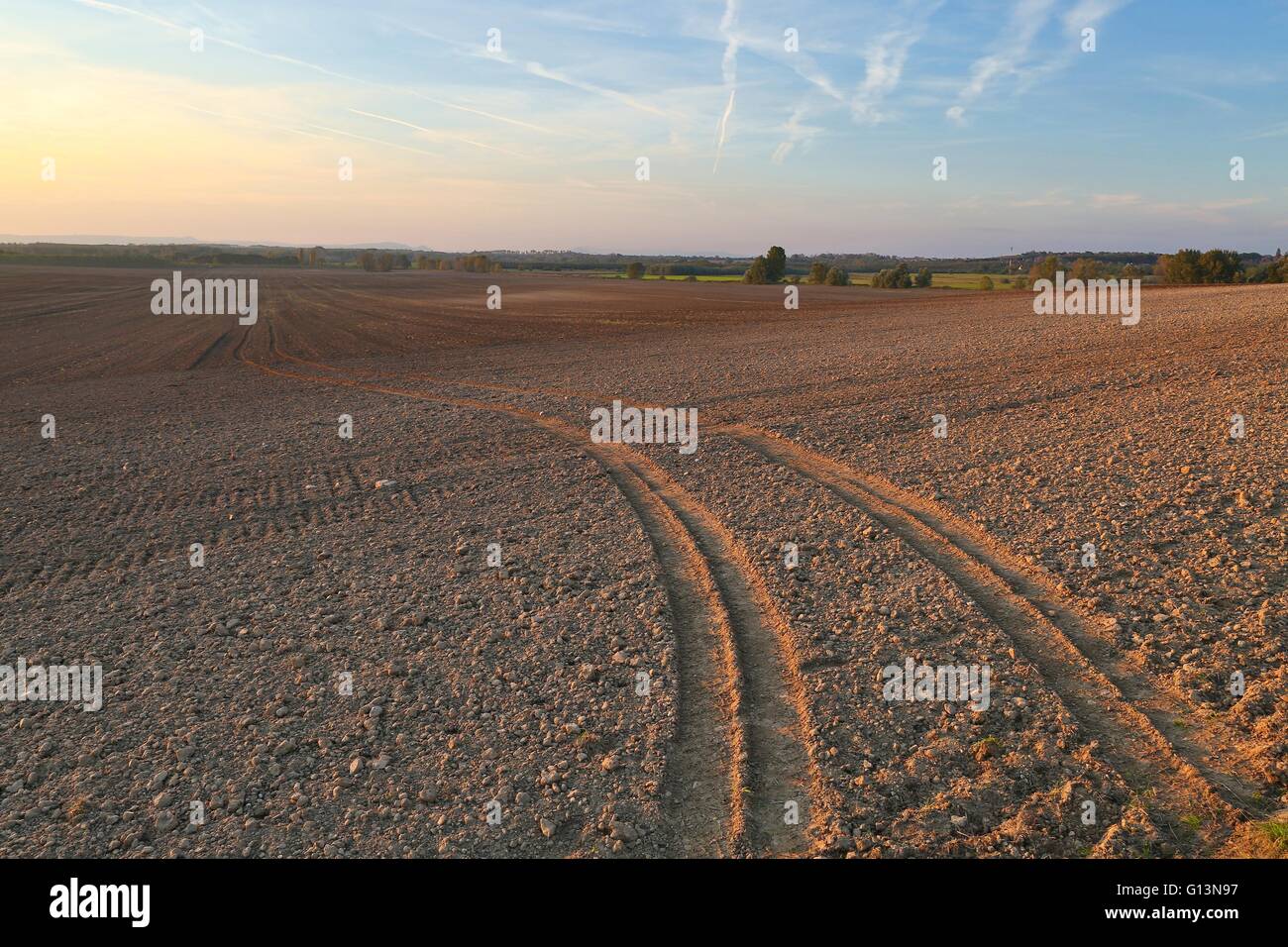 Agircutural field in late sunlight Stock Photo - Alamy