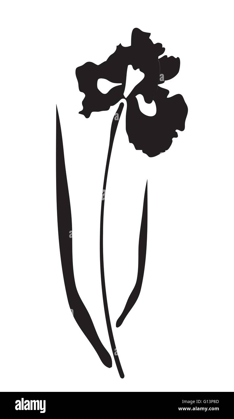 Download vector illustration of an iris flower vector silhouette ...