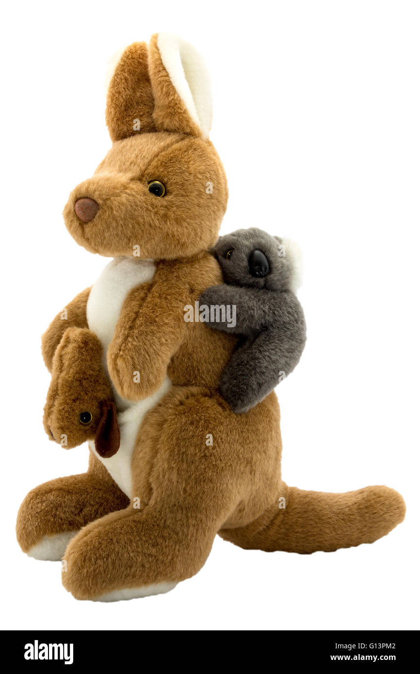 kangaroo teddy