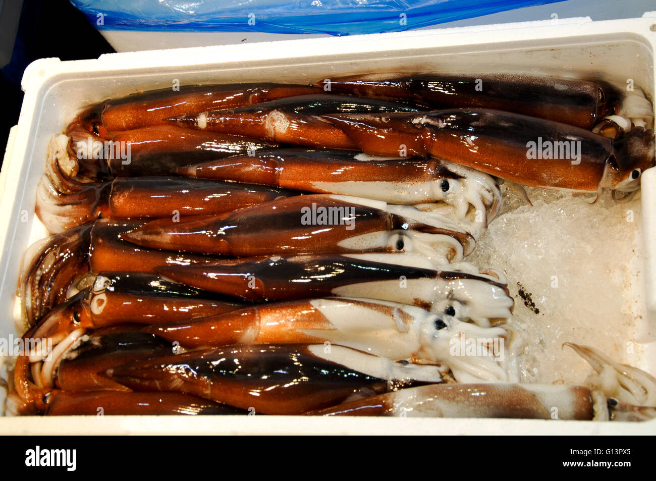 A box of fresh squid for sale in a fish market Stock Photo - Alamy