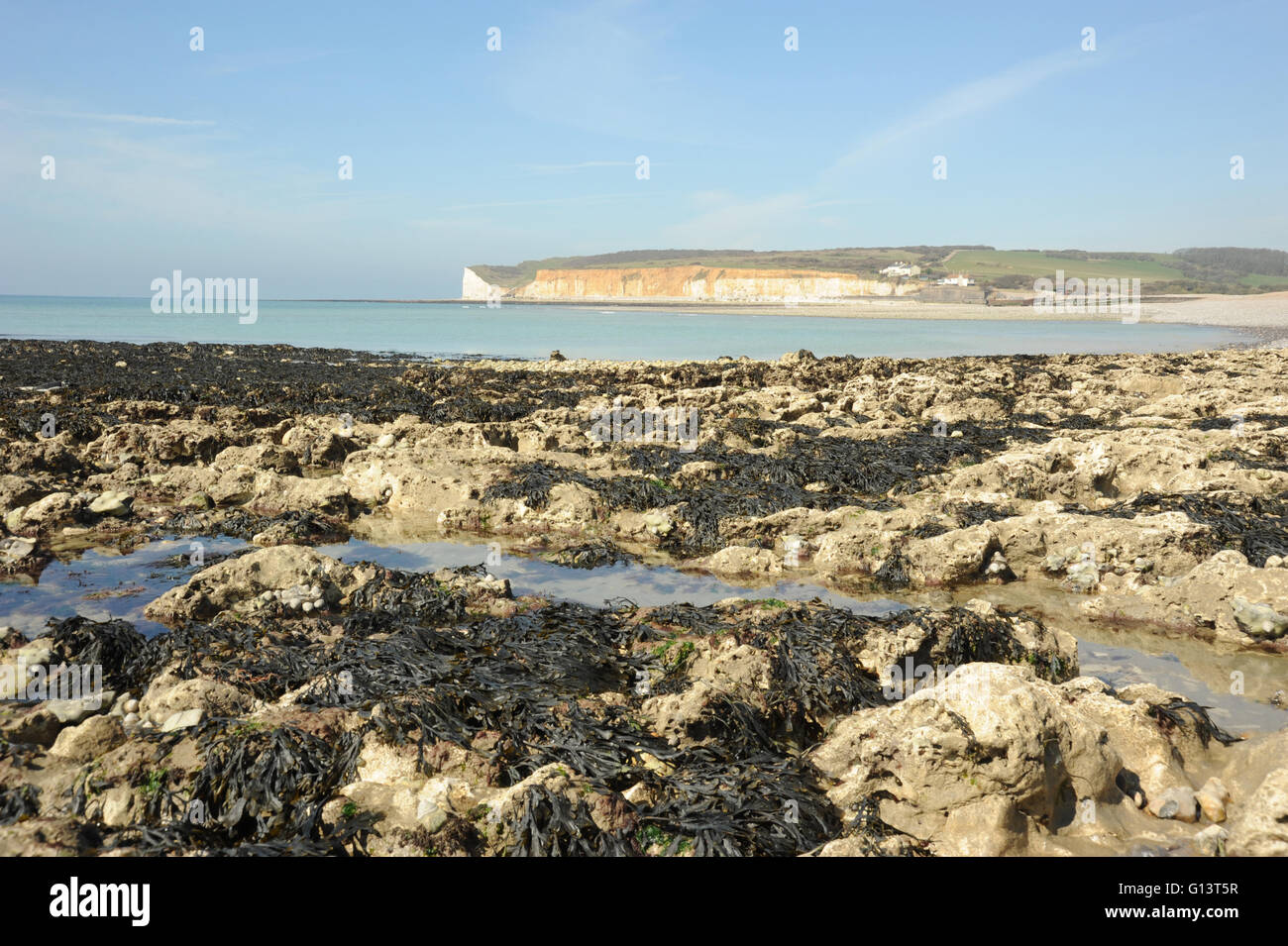 Rock pools at Seaford Head East Sussex Stock Photo