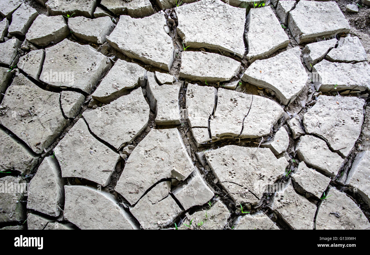 Cracked land after the withdrawal of river water. Stock Photo