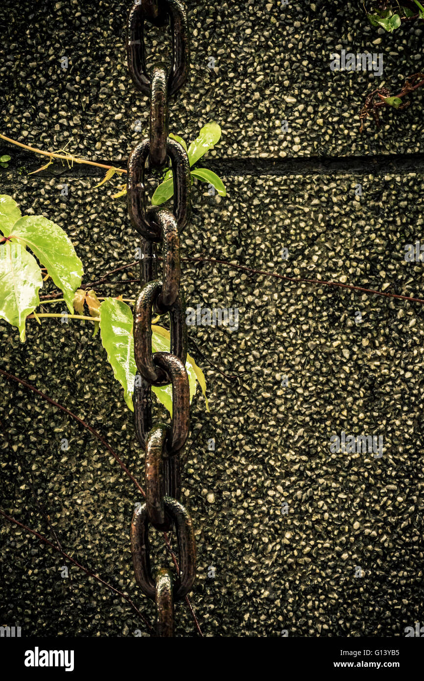 Chain hanging down wall next to leaves Stock Photo Alamy