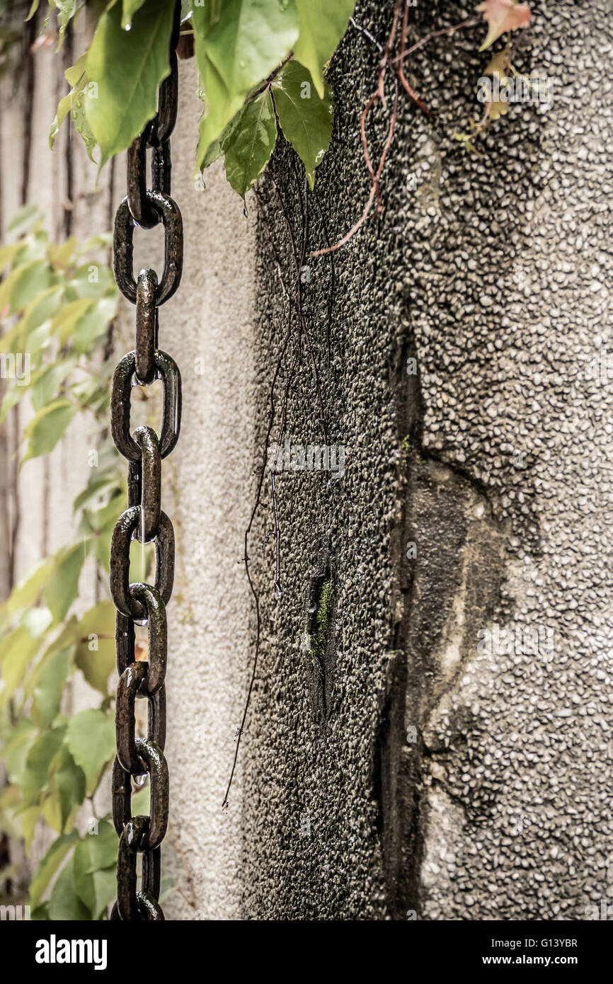 Chain hanging down wall next to leaves Stock Photo Alamy