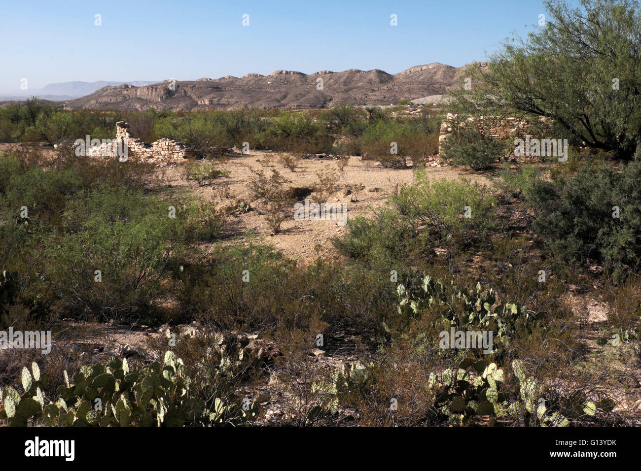 Terlingua ghost town, Texas. Plants in the foreground include Mesquite, creosote and Prickly Pear cactus. Stock Photo