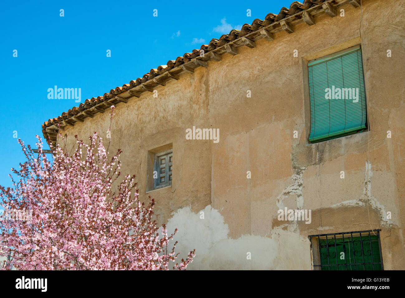 Old house and flowered almond tree. Colmenar de Oreja, Madrid province, Spain. Stock Photo