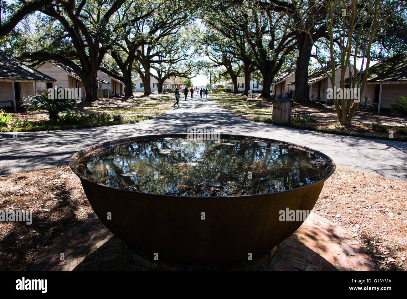 Large Copper Bowl for Boiling Sugarcane, Slave Housing, Oak Ally