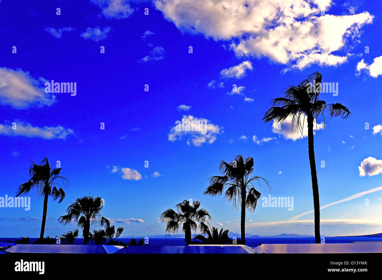 Lanzarote Arrecife Puerto del Carmen sea view palm trees blue sky Stock Photo