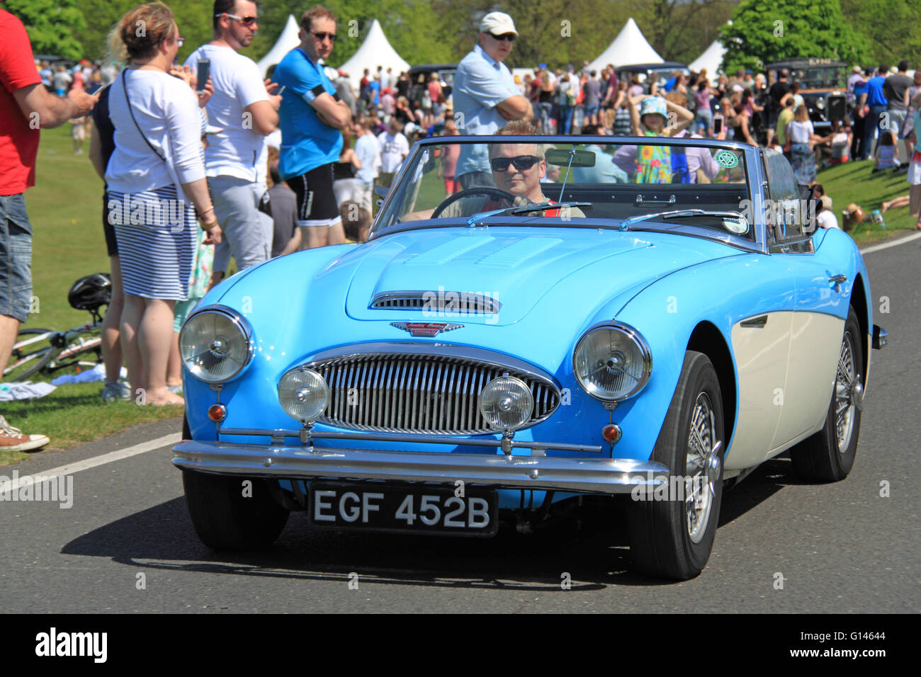 Austin-Healey 3000 Mark III (1964). Chestnut Sunday, 8th May 2016. Bushy Park, Hampton Court, London Borough of Richmond, England, Great Britain, United Kingdom, UK, Europe. Vintage and classic vehicle parade and displays with fairground attractions and military reenactments. Credit:  Ian Bottle / Alamy Live News Stock Photo