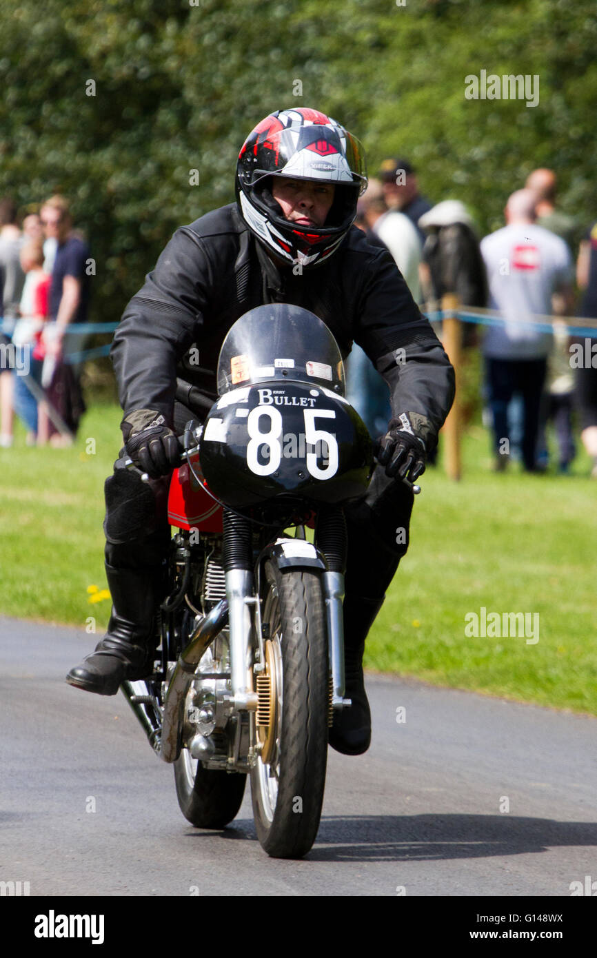 royal bullet race