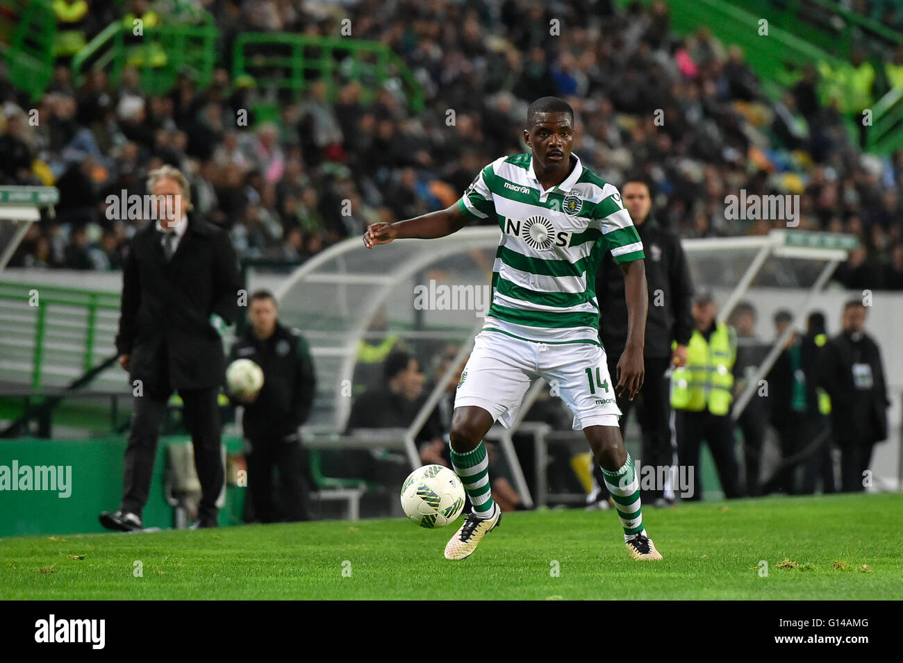 Portugal, Lisbon,May 07,2016 - SPORTING-V.SETÚBAL  - William Carvalho, Sporting player, during Portuguese League Football match between Sporting and V. Setúbal in Lisbon, Portugal. Photo: Bruno de Carvalho/ImagesPic Stock Photo