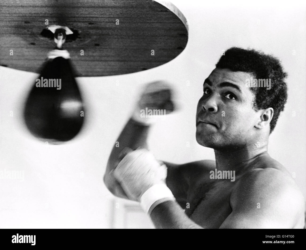 Muhammad Ali (January 17, 1942) is an American former professional boxer, philanthropist and social activist. Originally known as Cassius Clay he won six Kentucky Golden Gloves titles, two national Golden Gloves titles, an Amateur Athletic Union National Stock Photo