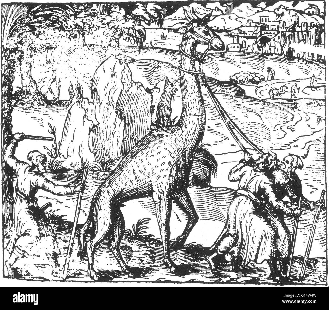 Woodcut of a 'giraffe' from Des Monstres et prodiges by Ambroise Paré, 1573. Des Monstres is filled with unsubstantiated accounts of sea devils, marine sows, and monstrous animals with human faces. With its extensive discussion of reproduction and illustr Stock Photo