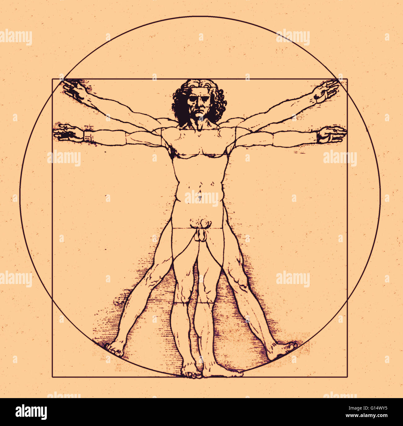 Human body. Drawing of the movement of a male human body by the Italian artist and scientist Leonardo da Vinci (1452-1519). Here, he shows how the movement of the limbs can be described on the perimeters of a circle and a square. Also shown is Leonardo's Stock Photo