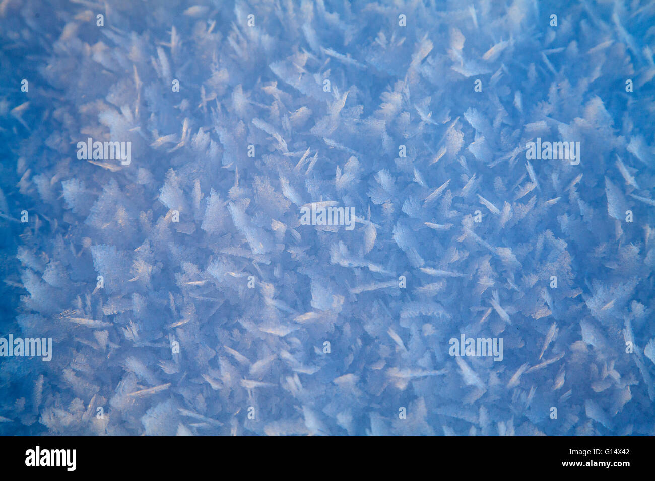 Snow crystals upon cooling does a fine pattern Stock Photo