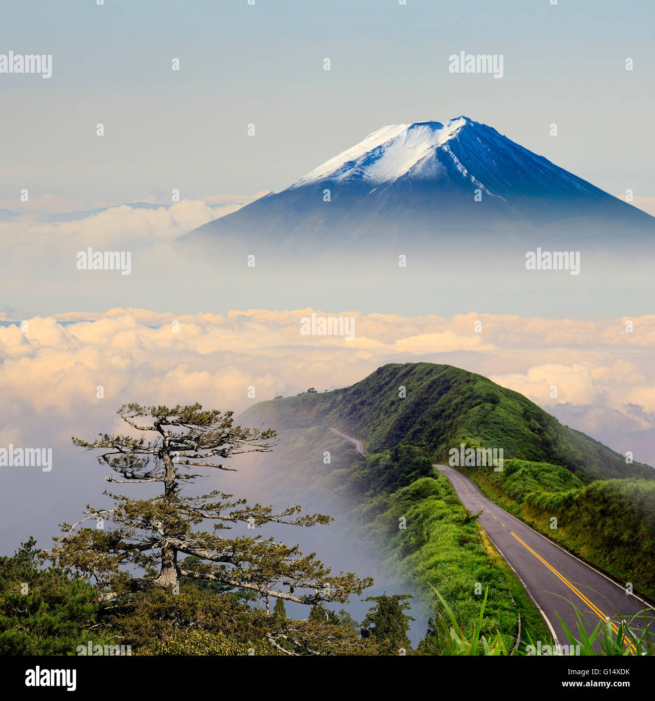 The imageing of beautiful landscapes with green road and nice ...