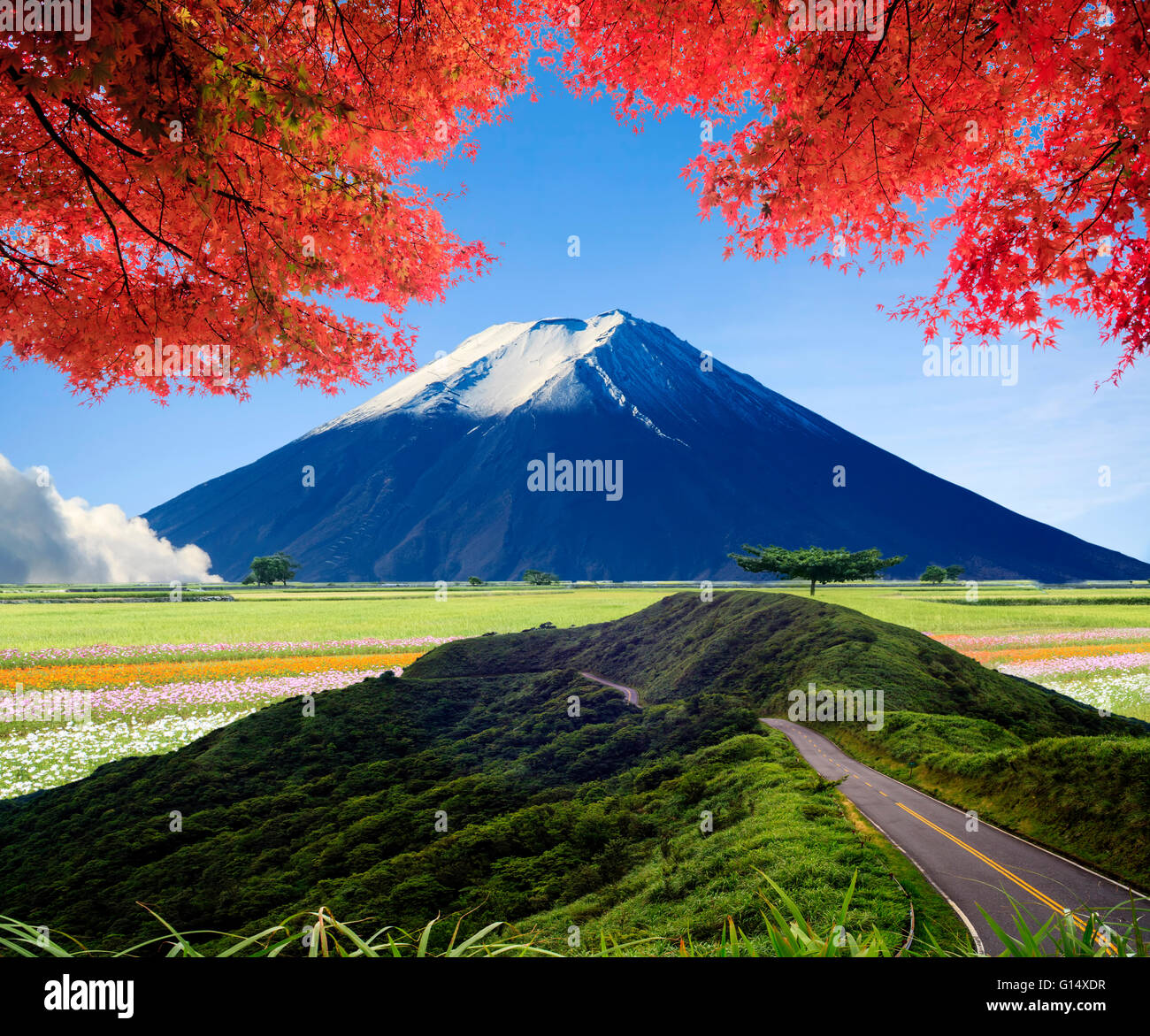 The imageing of beautiful landscapes with green road and nice ...