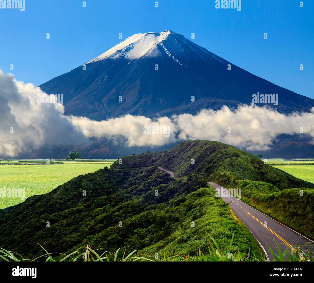 The imageing of beautiful landscapes with green road and nice ...
