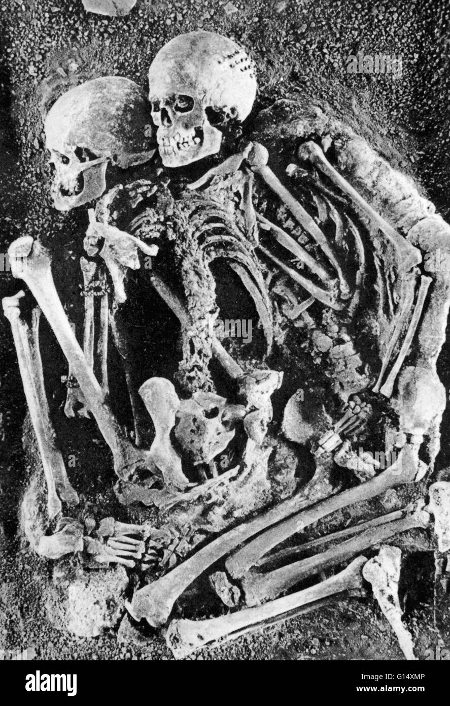 Grimaldi skeletons. Fossilized 'Grimaldi' skeletons, human remains approximately 30,000 years old. These humans were originally thought to have produced descendents who migrated through Europe into Africa, where they evolved into Homo sapiens. They were l Stock Photo