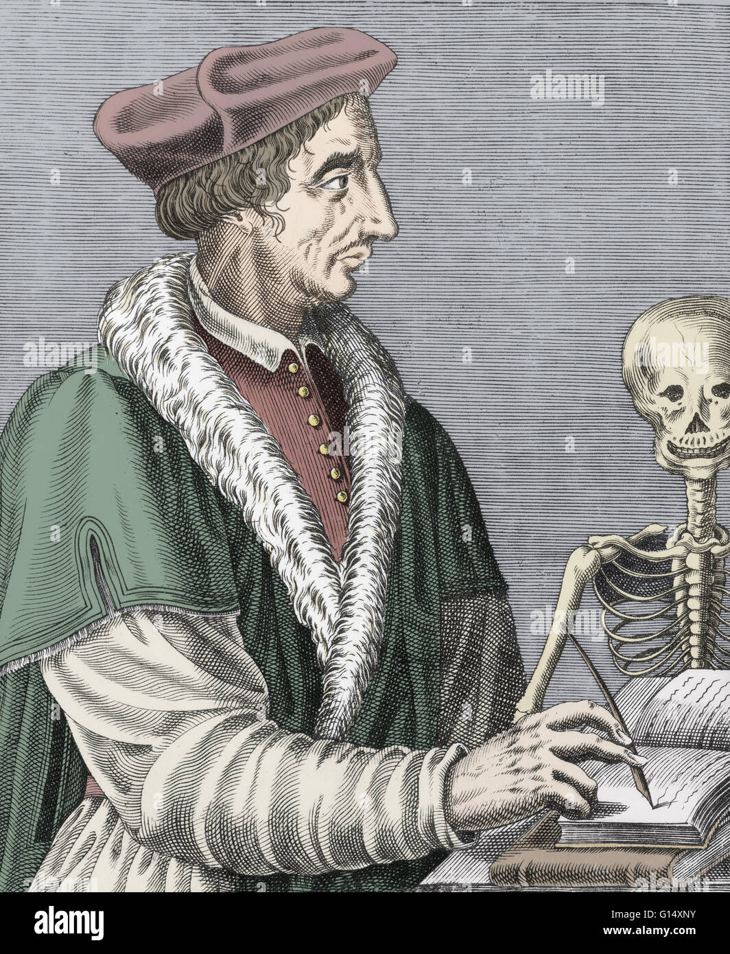 Jean Fernel (1497-1558) was a French physician who introduced the term physiology to describe the study of the body's function. He was the first person to describe the spinal canal. Stock Photo