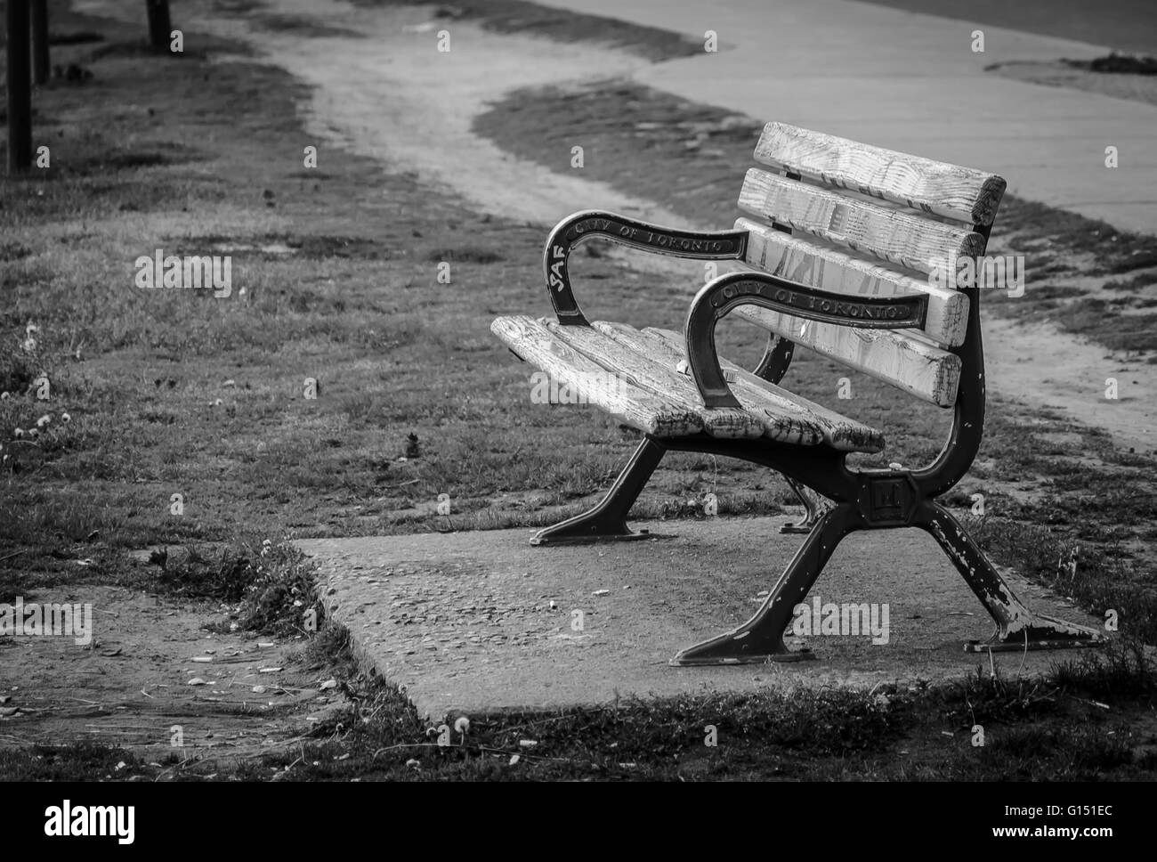 View of a park bench at the Riverdale Park East in Toronto, Canada