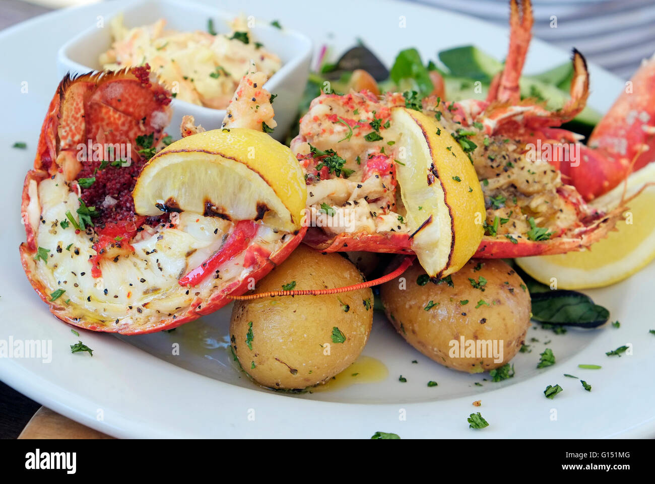 lobster lunch at the stiffkey red lion public house, north norfolk, england Stock Photo