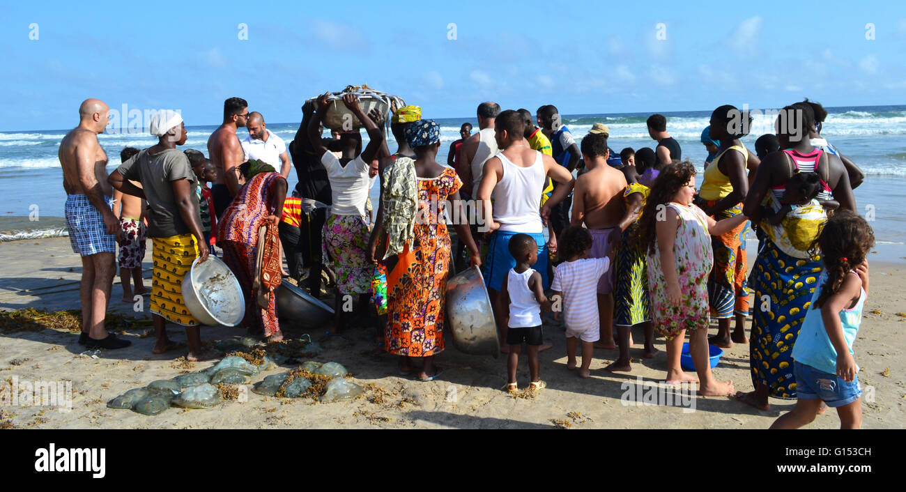 People gathering around the freshly caught fish in Ivory Coast Stock Photo