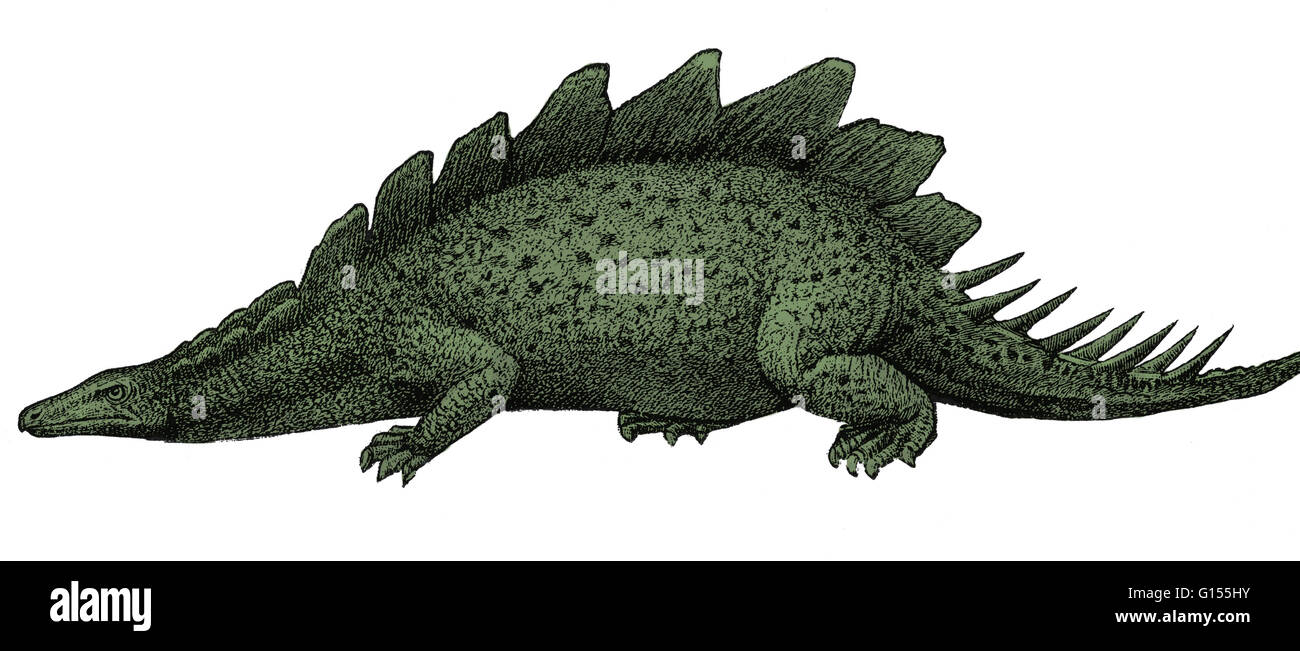 Illustration of a stegosaurus Stock Photo - Alamy