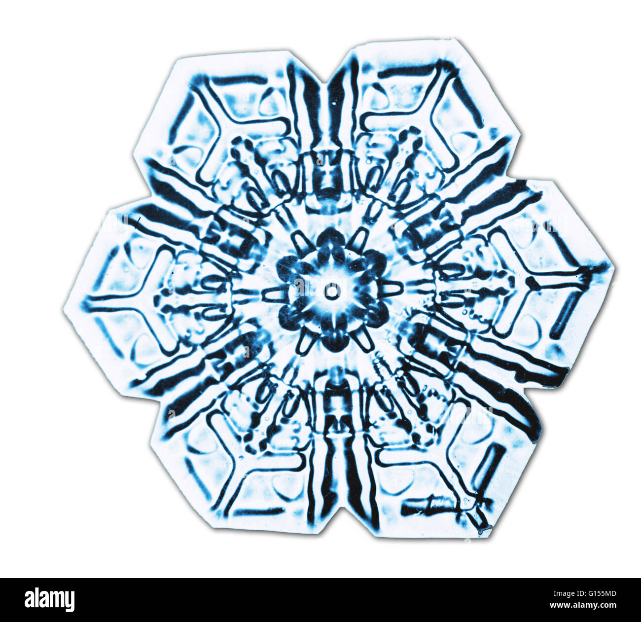 Color enhanced photograph of a snowflake. The snowflake was photographed on a glass plate by Wilson A. Bentley (1865 - 1931), who was probably the first person to do so. He used a box camera, to which he had attached a microscope, and captured the snowfla Stock Photo