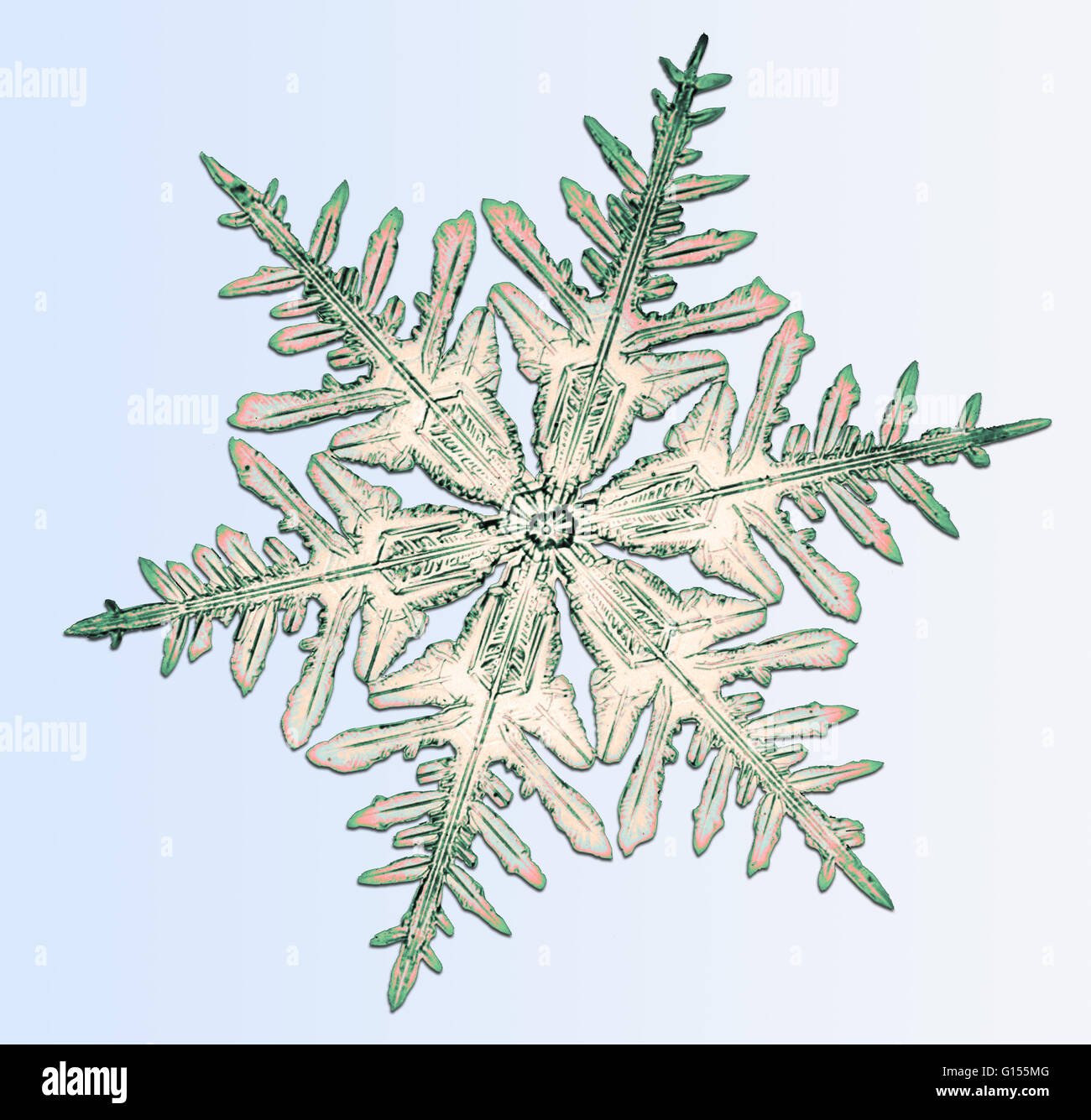 Color enhanced photograph of a snowflake. The snowflake was photographed on a glass plate by Wilson A. Bentley (1865 - 1931), who was probably the first person to do so. He used a box camera, to which he had attached a microscope, and captured the snowfla Stock Photo