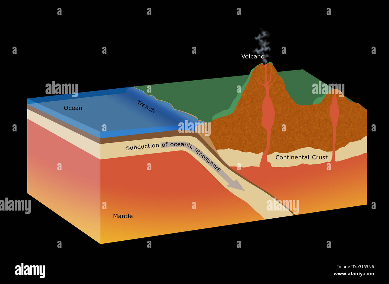 Cutaway artwork of a subduction zone. The tectonic plates of the Earth's crust move on the semi-plastic, molten layers underneath. The thin oceanic plates spread outward from mid-ocean ridges where molten rock oozes from within the Earth. They are destroy Stock Photo