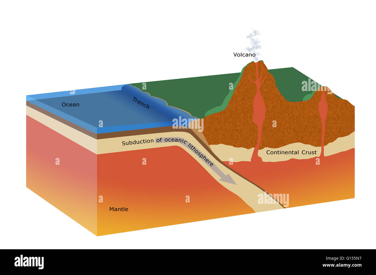 Cutaway artwork of a subduction zone. The tectonic plates of the Earth's  crust move on the semi-plastic, molten layers underneath. The thin oceanic  plates spread outward from mid-ocean ridges where molten rock