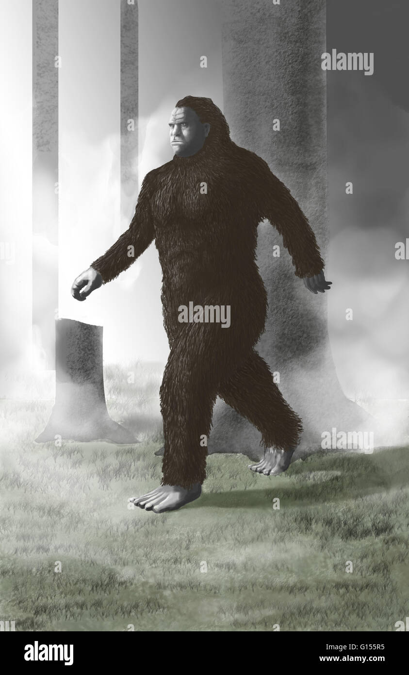Illustration of Bigfoot or sasquatch, an ape-like cryptid creature that supposedly inhabits the Pacific-Northwest. Stock Photo