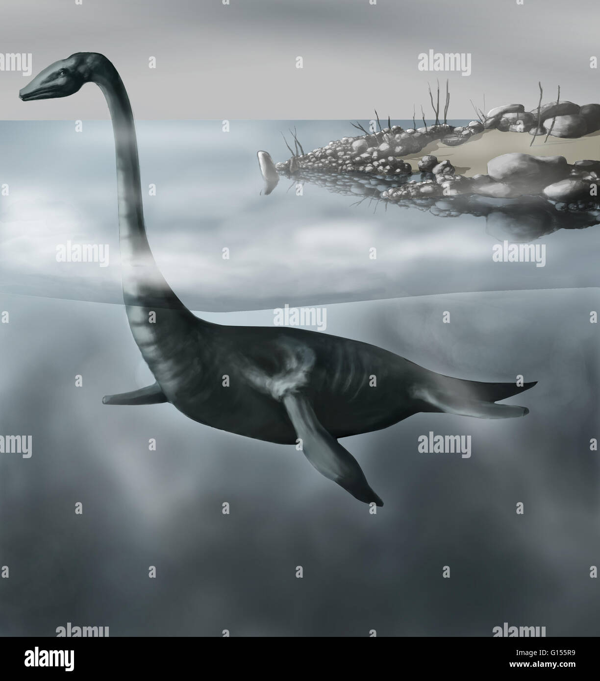 Illustration of a Plesiosaur, a type of carnivorous aquatic reptile from the end of the Triassic Period until the K-T extinction. Stock Photo