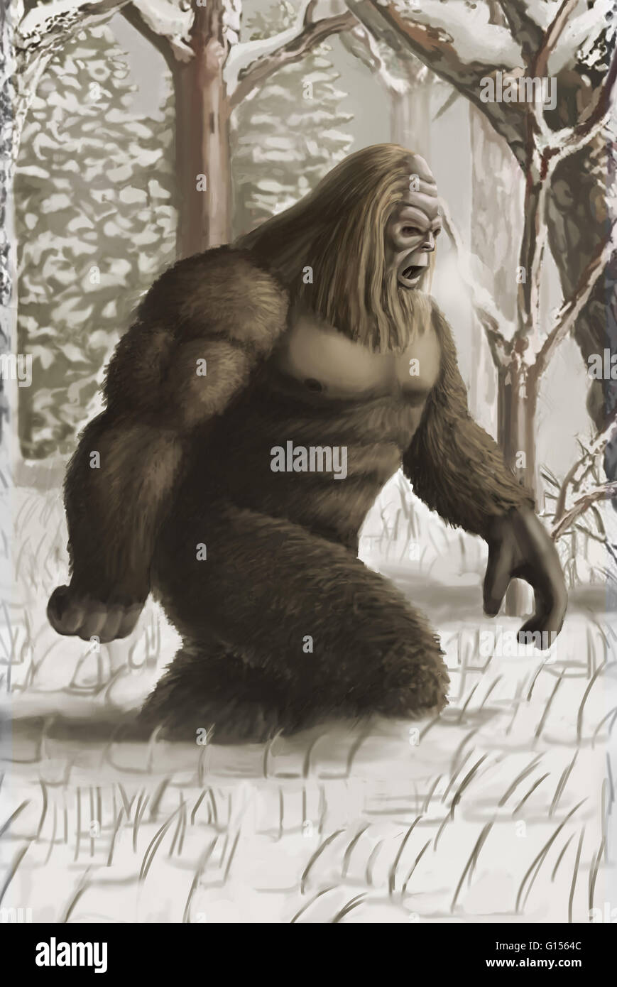 Illustration of Bigfoot or sasquatch, an apelike cryptid creature that