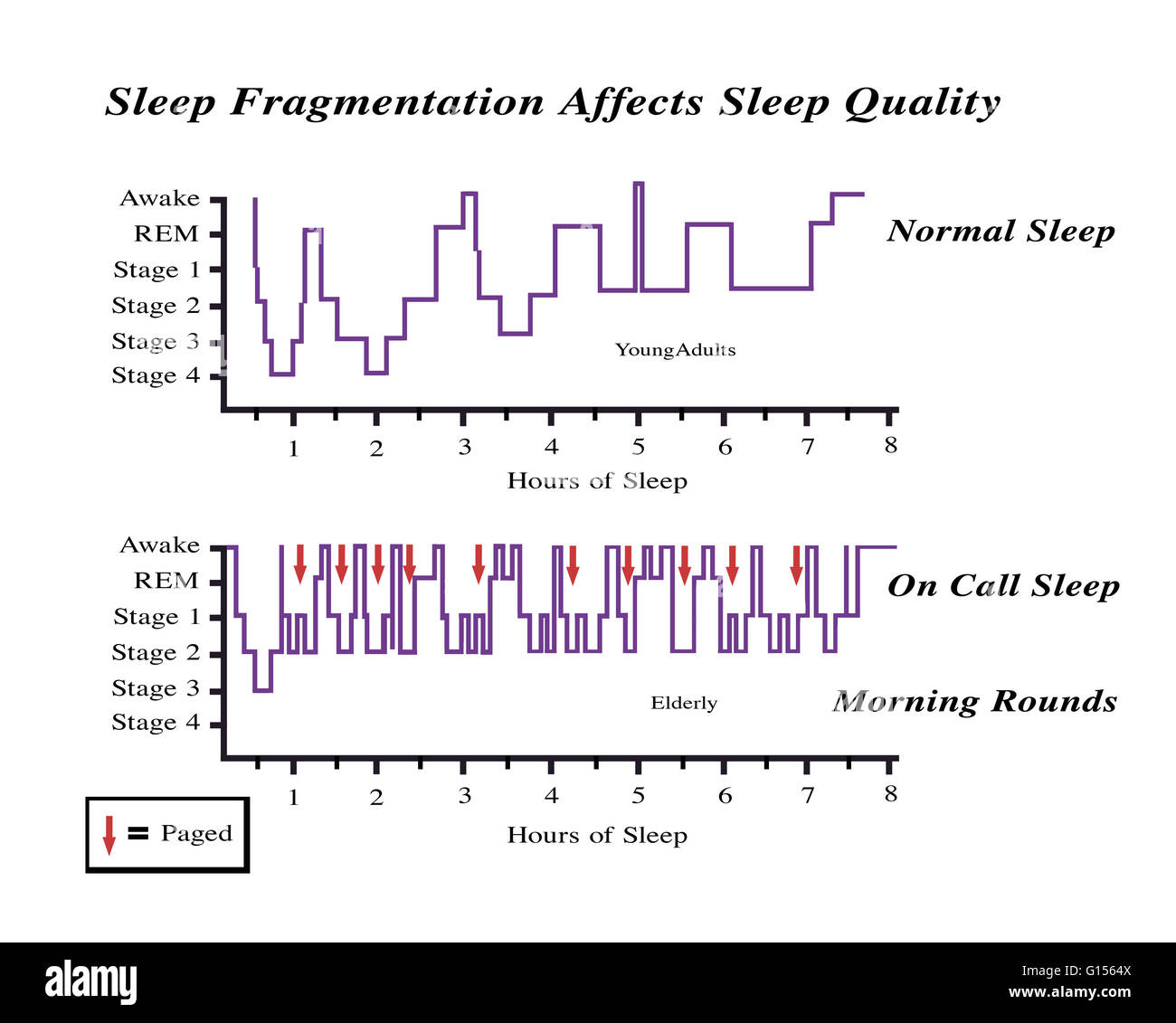Graph illustrating data from a study on how sleep fragmentation affects