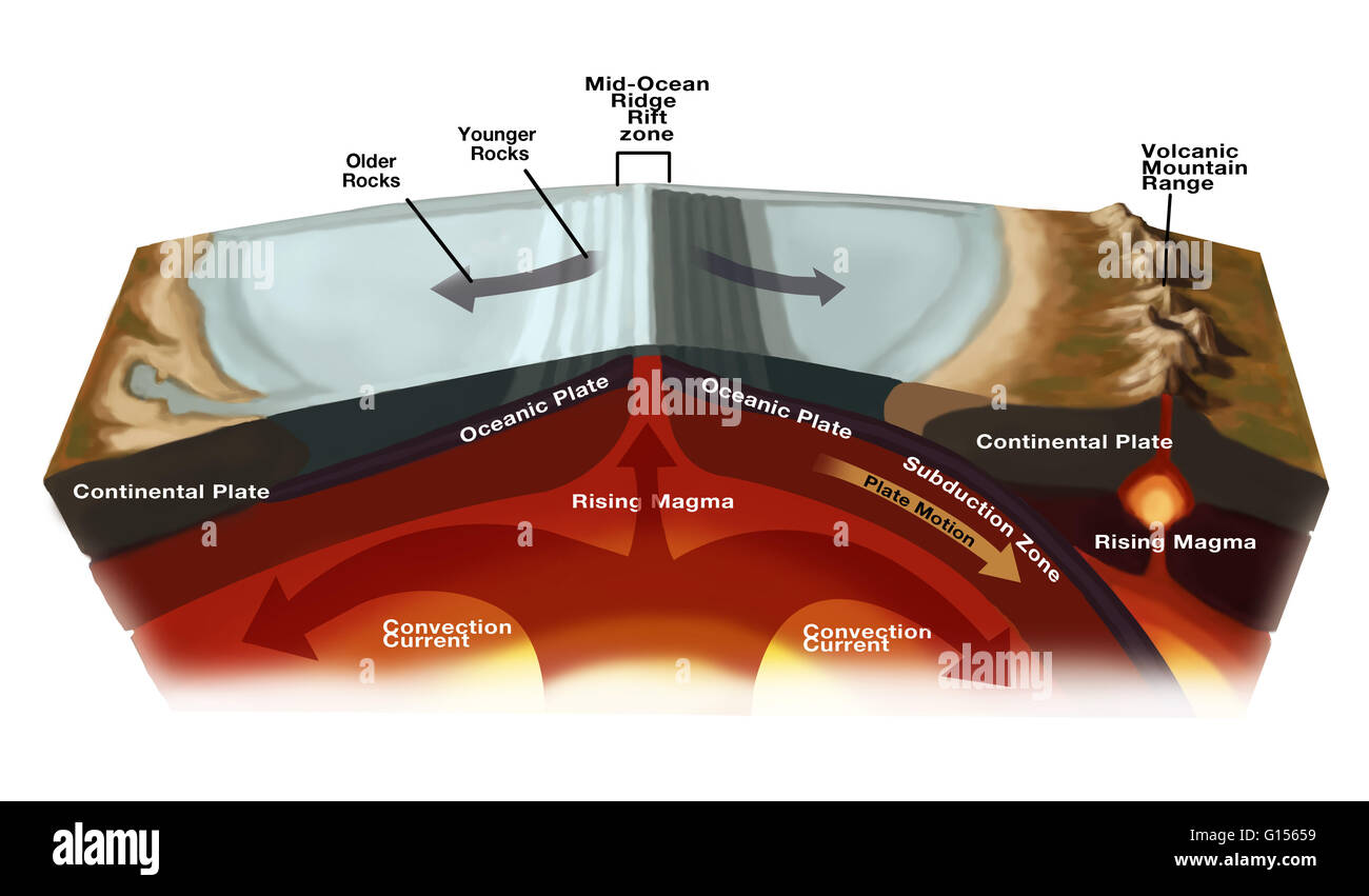 Diagram illustrating divergent plate boundaries creating larger ocean divide (at middle), and convergent plate boundaries resulting in volcanic lands (at right). The mid-ocean ridges (at middle) are one of the three basic types of plate boundaries. As sho Stock Photo