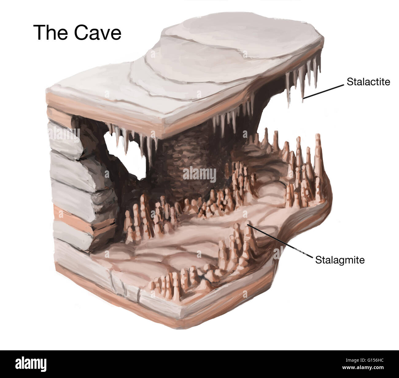 Illustration of stalactites and stalagmites in a cave. Stalactites and stalagmites are secondary cave formations that form when dissolved calcium minerals are precipitated out of solution. Stalactites form from drips of groundwater on the ceiling of caves Stock Photo
