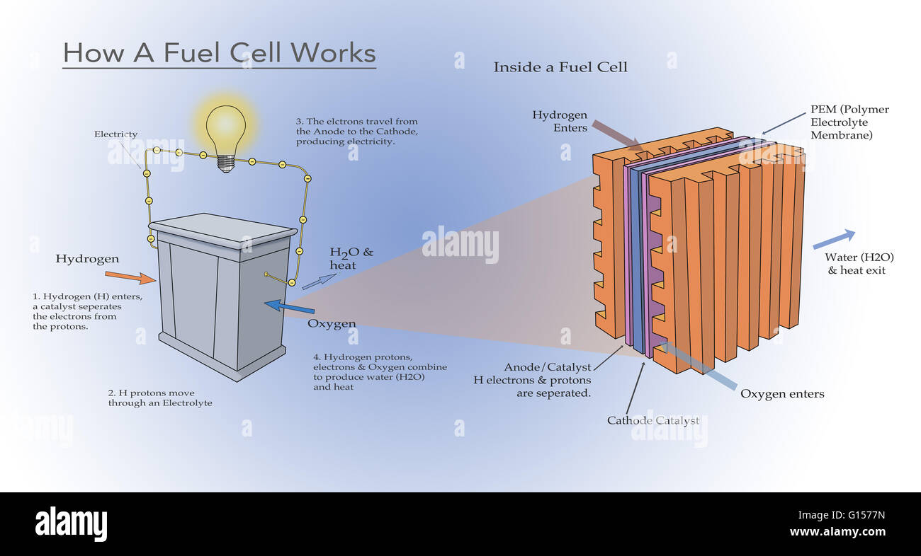 Diagram illustrating how a fuel cell takes in hydrogen and oxygen and produces electricity, with